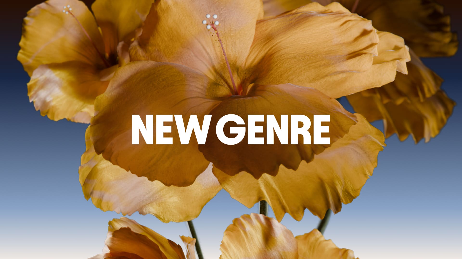 New Genre OG image